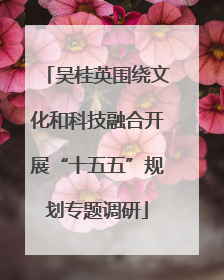 吴桂英围绕文化和科技融合开展“十五五”规划专题调研