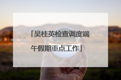 吴桂英检查调度端午假期重点工作