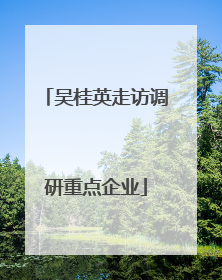 吴桂英走访调研重点企业