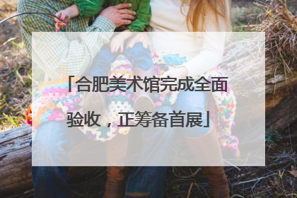 合肥美术馆完成全面验收，正筹备首展
