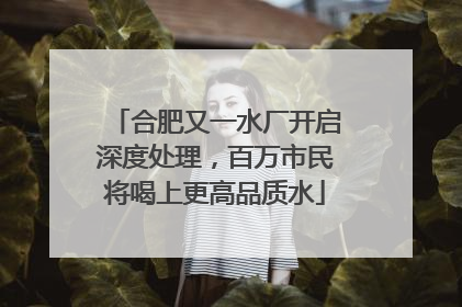 合肥又一水厂开启深度处理，百万市民将喝上更高品质水