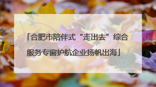 合肥市陪伴式“走出去”综合服务专窗护航企业扬帆出海