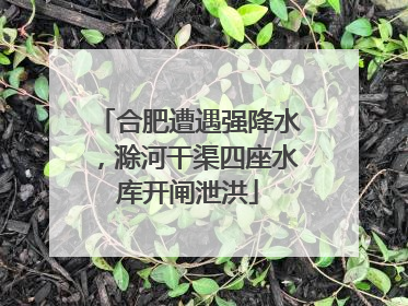 合肥遭遇强降水，滁河干渠四座水库开闸泄洪