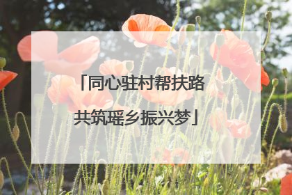 同心驻村帮扶路 共筑瑶乡振兴梦