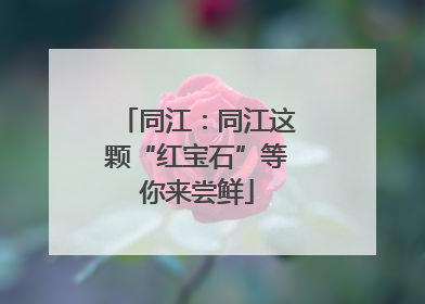 同江：同江这颗“红宝石”等你来尝鲜