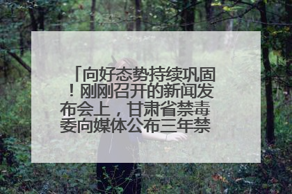 向好态势持续巩固！刚刚召开的新闻发布会上，甘肃省禁毒委向媒体公布三年禁毒工作“成绩单”