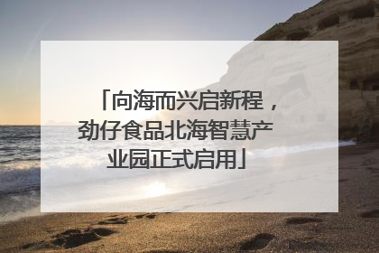向海而兴启新程，劲仔食品北海智慧产业园正式启用