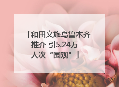 和田文旅乌鲁木齐推介 引5.24万人次“围观”
