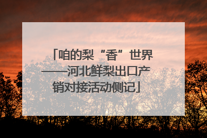 咱的梨“香”世界——河北鲜梨出口产销对接活动侧记