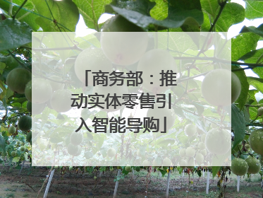 商务部：推动实体零售引入智能导购