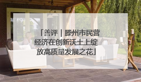 善评｜滕州市民营经济在创新沃土上绽放高质量发展之花
