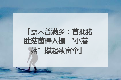 嘉禾普满乡：首批猪肚菇菌棒入棚 “小蘑菇”撑起致富伞