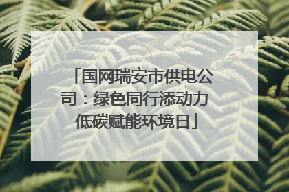国网瑞安市供电公司：绿色同行添动力 低碳赋能环境日