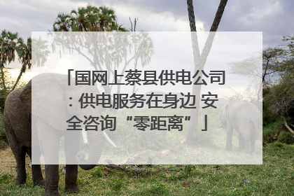 国网上蔡县供电公司：供电服务在身边 安全咨询“零距离”