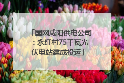 国网咸阳供电公司：永红村75千瓦光伏电站建成投运