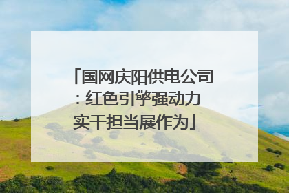 国网庆阳供电公司：红色引擎强动力 实干担当展作为