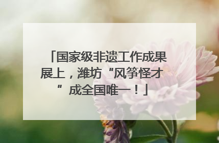 国家级非遗工作成果展上，潍坊“风筝怪才”成全国唯一！