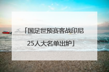 国足世预赛客战印尼25人大名单出炉