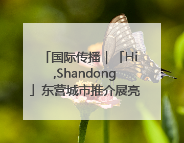 国际传播｜「Hi,Shandong」东营城市推介展亮相“从蒙马特到加里波第”文化节