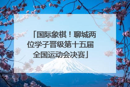 国际象棋！聊城两位学子晋级第十五届全国运动会决赛