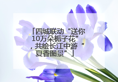 四城联动“送你10万朵栀子花”，共绘长江中游“夏香图景”