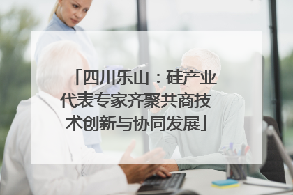 四川乐山：硅产业代表专家齐聚共商技术创新与协同发展
