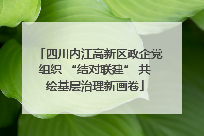 四川内江高新区政企党组织 “结对联建” 共绘基层治理新画卷