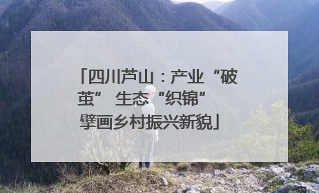 四川芦山：产业“破茧” 生态“织锦” 擘画乡村振兴新貌
