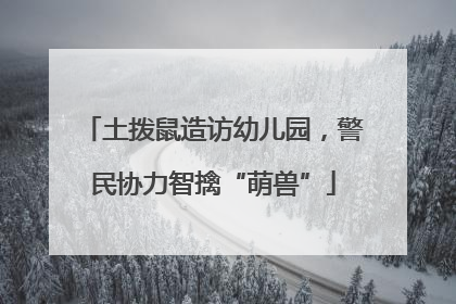 土拨鼠造访幼儿园，警民协力智擒“萌兽”