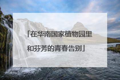 在华南国家植物园里和芬芳的青春告别