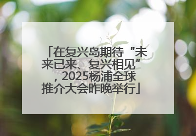 在复兴岛期待“未来已来、复兴相见”，2025杨浦全球推介大会昨晚举行