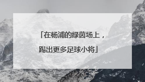在杨浦的绿茵场上，踢出更多足球小将