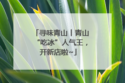 寻味青山丨青山“吃冰”人气王，开新店啦~