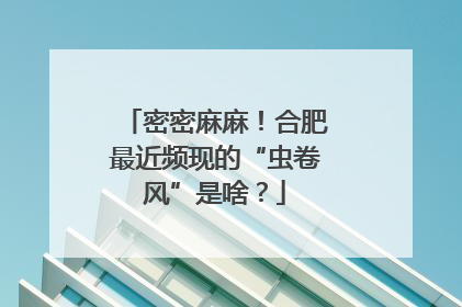 密密麻麻！合肥最近频现的“虫卷风”是啥？
