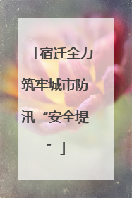 宿迁全力筑牢城市防汛“安全堤”
