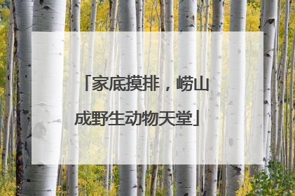 家底摸排，崂山成野生动物天堂