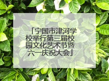 宁国市津河学校举行第三届校园文化艺术节暨六一庆祝大会