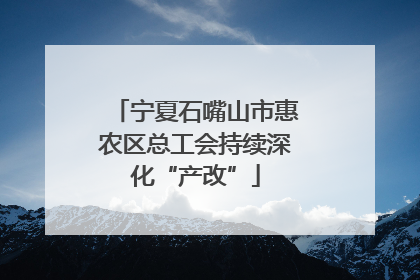 宁夏石嘴山市惠农区总工会持续深化“产改”