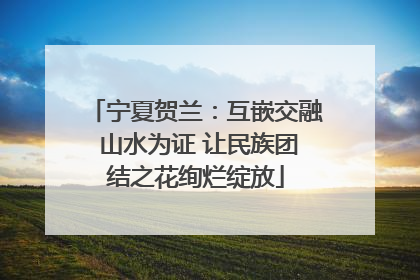 宁夏贺兰：互嵌交融 山水为证 让民族团结之花绚烂绽放