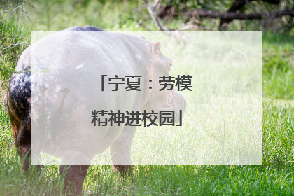 宁夏：劳模精神进校园
