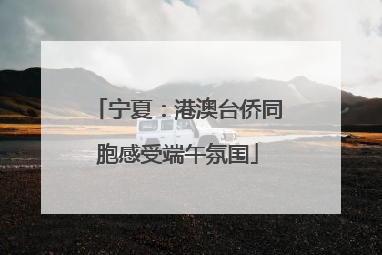 宁夏：港澳台侨同胞感受端午氛围