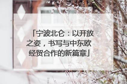 宁波北仑：以开放之姿，书写与中东欧经贸合作的新篇章