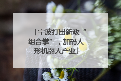 宁波打出新政“组合拳”，加码人形机器人产业