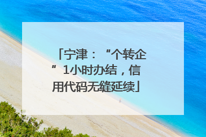 宁津：“个转企”1小时办结，信用代码无缝延续