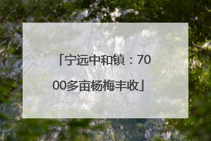 宁远中和镇：7000多亩杨梅丰收