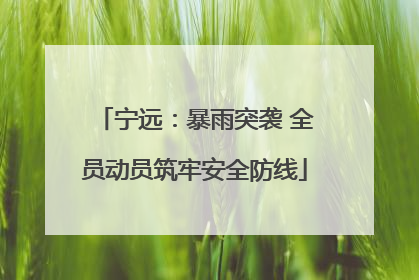 宁远：暴雨突袭 全员动员筑牢安全防线