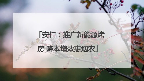 安仁：推广新能源烤房 降本增效惠烟农