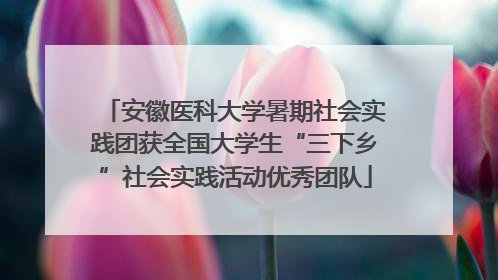 安徽医科大学暑期社会实践团获全国大学生“三下乡”社会实践活动优秀团队