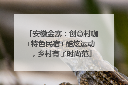 安徽金寨：创意村咖+特色民宿+酷炫运动，乡村有了时尚范