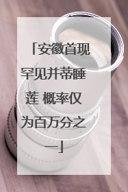 安徽首现罕见并蒂睡莲 概率仅为百万分之一